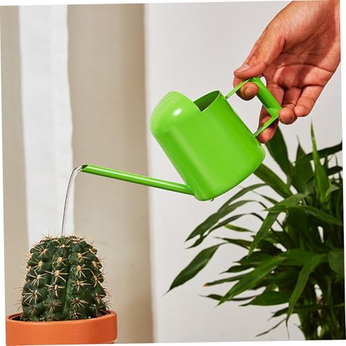 Arrosoir de 300 ml pour arroser proprement sans déborder