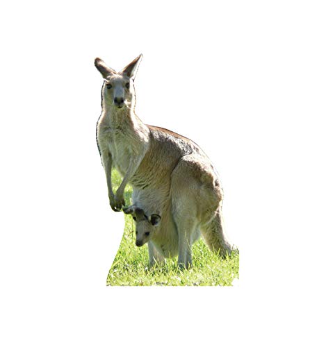 Cardboard People Kangaroo Cardboard Cutout