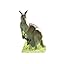 Kangaroo