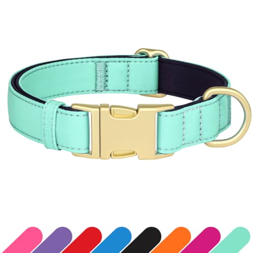 Didog Soft Padded Dog Collar for Small Dogs, Teal, S Neck 10-15"