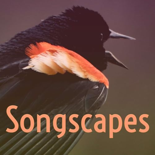 Songscapes cover art