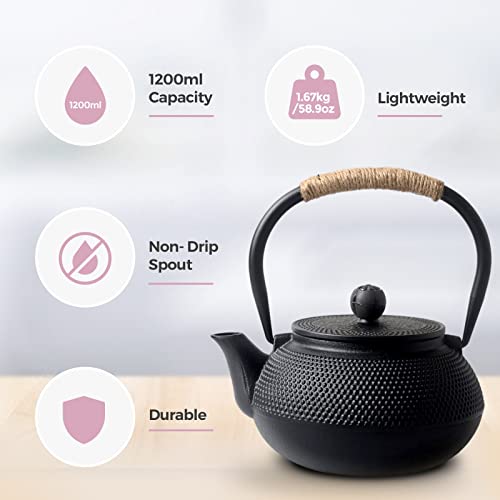 Elegant Large Classic Chinese Cast Iron Teapot with Stainless Steel Infuser (1200ml/5 Cups) - Image 2