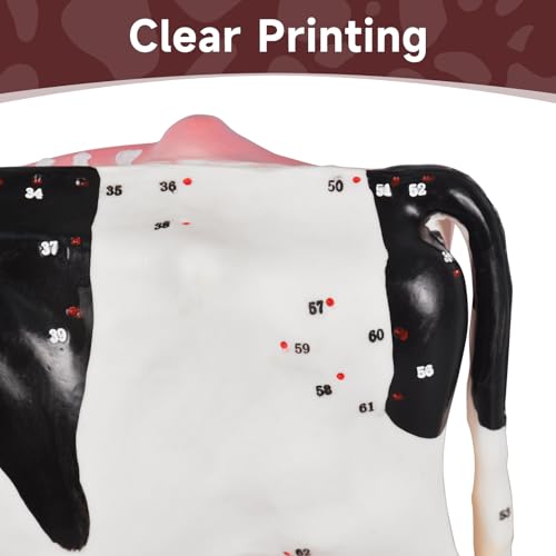 Simedutech Bovine Anatomy Model with Acupuncture Points - Veterinary Teaching Tool, Detailed PVC Organ Model for Acupuncture, Moxibustion & Vet Training