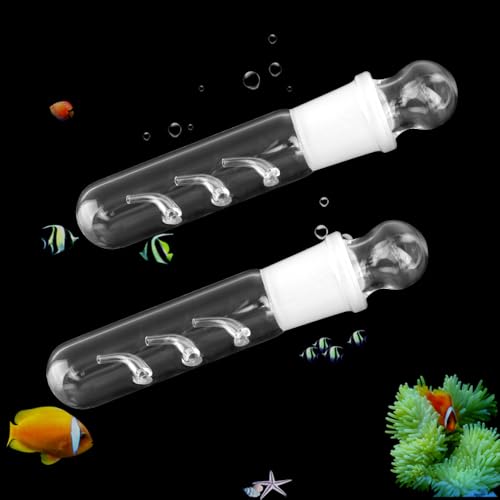 2 Pack Clear Glass Planaria Trap Catch Trap Aquarium Cleaning Supply for Dwarf Shrimp Cherry Shrimp (3 Holes)