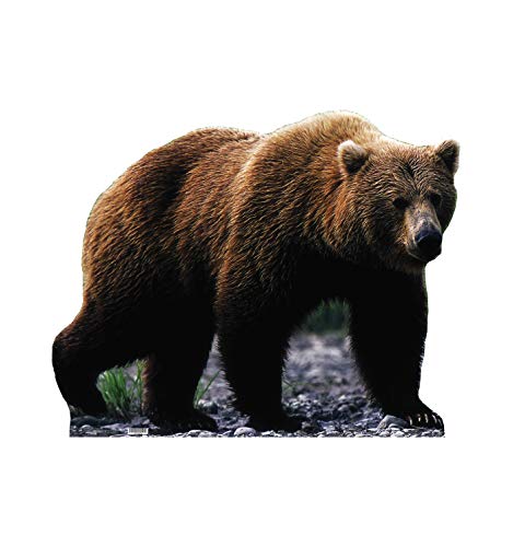 Cardboard People Grizzly Bear Cardboard Cutout