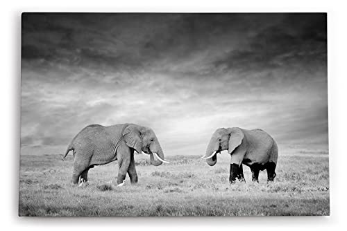 Paul Sinus Tableau mural décoratif - Impression d'art - 90 x 60 cm - Deux éléphants - Noir et blanc - Afrique