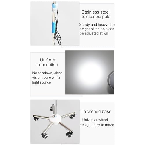 Lampe d'examen chirurgicale à LED sur pied rotative et réglable en hauteur