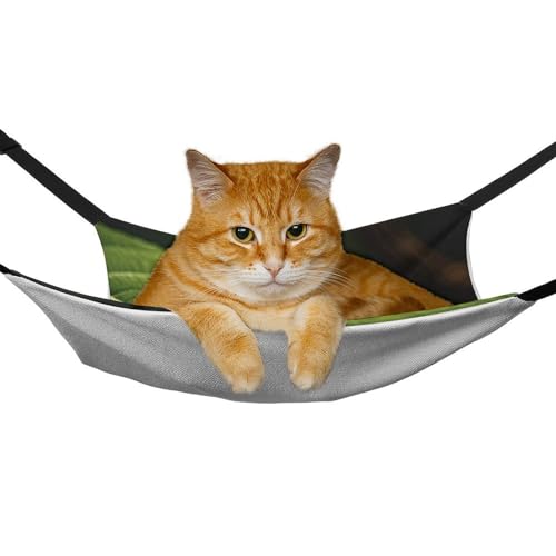 Hamac pour chat suspendu anti-stress avec feuilles et coccinelles - 7