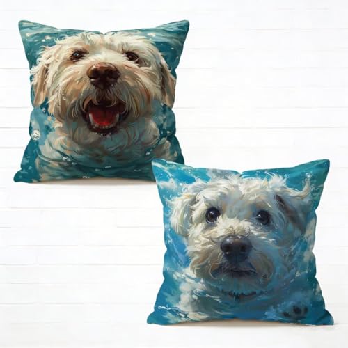 �N�b�V�����J�o�[ 55x55 cm 2���Z�b�g ���C�N�u���[ ���z�c�J�o�[ 55 x 55 �\�t�@�[ �N�b�V���� ���� �l�C ���O �N�b�V���� �� �������J�o�[ HD���ʈ�� ���_�� �B���t�@�X�i�[�t���C�t�ăR���N�V���� �K�p�Ώ� �ƒ� �I�t�B�X �֎q �x