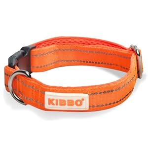 Kibbo Premium Double Padded Reflective Dog Collar | Medium to Large Size Pet Breeds | Ultra Soft Mesh, Nylon, Adjustable Length, Lightweight | Sturdy D-Ring and Buckle | Orange (Large)