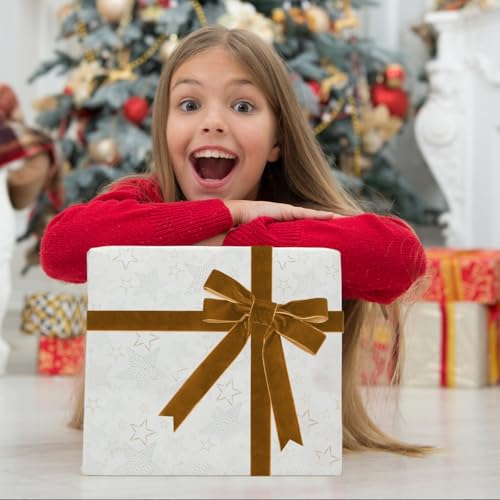 Image of Tsorode 10 Yards Black Velvet Ribbon 1 Inch for Christmas Tree,Velvet Christmas Ribbon for Gift Wrapping Crafts Bow Wreath Holiday Decorations (Light Brown, 1 inch-10 Yard)