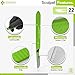 CYNAMED # 22 Disposable Scalpel with Plastic Handle - Sterile Single Blade Razor for Dermaplaning, Dissection, Podiatry, Professional Grooming, Acne Removal - Surgical Stainless Steel Tool - Box of 10