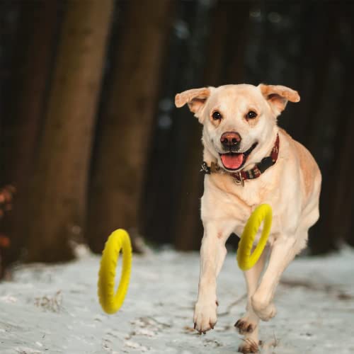 Dlder Dog Flying Disc,Floating Dog Ring Toys, Indestructible Dog Chew Toys For Small Chewers Dog Toys For Pool,Float Durable Outdoor &Indoor Puppy Toy For Throwing,Catching,Swimming,Training #TOP4
