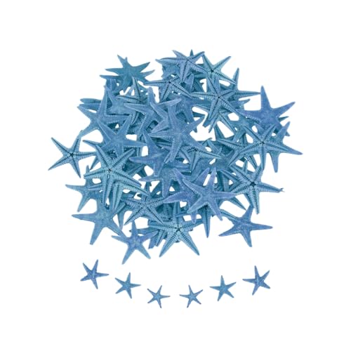 QUARKZMAN 60Pcs Etoiles De Mer Pour, 0.4"-0.8" Petites Etoiles De Mer Naturelles Coquillages En Vrac Pour Mariage Theme Plage Decoration Fete Decorations Maison Vase DIY Decor, Bleu Fonce