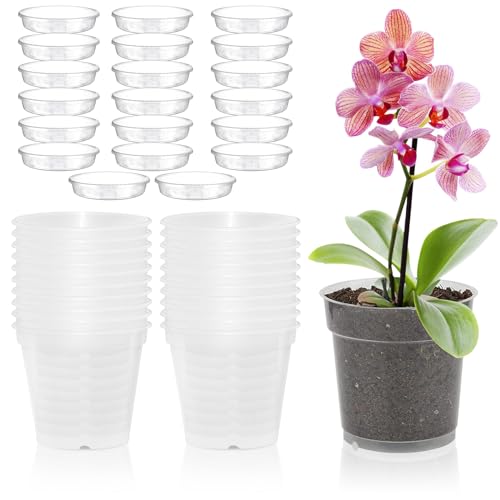 PORFOYO Pot Orchidée Transparent 11,5cm avec Trous De Drainage Et Soucoupes pour Balcon, Bureau, Intérieur, Extérieur