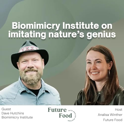 Biomimicry Institute on imitating nature&rsquo;s genius