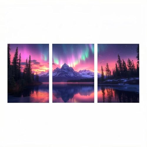 3Pck Aurora Diamond Painting Kit Completo, Invierno Pintura Diamante para Manualidades Adultos 30x20 cm*3 Pintar por Numeros Diamond Painting para Cuadros Decoracion Salon Modernos Regalo HXZH-0654