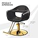 OmySalon Barber Chairs for Barbershop Black & Gold Styling Chair, Salon Chair for Hair Stylist, Heavy Duty Hydraulic Pump, 360°Swivel with Footrest, Hairdressing Home Beauty Spa Equipment
