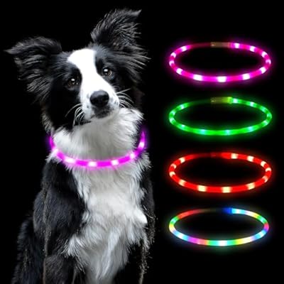Collar luminoso LED AUAUY para perro, recargable USB, cuello de silicona, ajustable, resistente al agua, 4 modos (rosa) | Ya disponible en tu tienda friki favorita! En mundofriki.es!