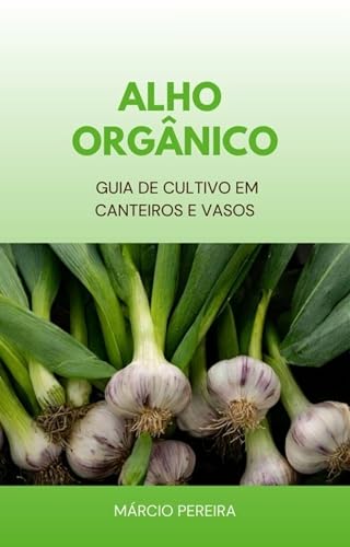 Alho Orgânico: Guia de Cultivo em Canteiros e Vasos