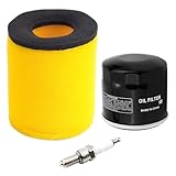 AWSZH Air Filter 13780-03G00 + Oil Filter 1651003G00 + Spark Plugs Tune Up Kits Compatible With Suzuki Eiger 400 LT-A400 LT-F400 2002 2003 2004 2005 2006 2007 King Quad 400 LTA400F 4x4 AS 2008-2010