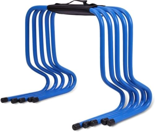 QueeningetFXs[hƕq̌ɖ𗧂~jn[h5ZbgB5̃ZNVɕĂ܂ByʂŎ^тɕ֗B[obOtB (40CM,)