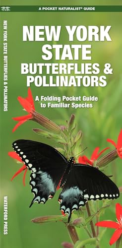 New York State Butterflies & Pollinators: A Folding Pocket Guide to Familiar Species (Nature Observation North America)