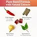 FTKV Spicy Cubes Hot Peach Gummies, Intimacy Support Formula with Chili Pepper, Muira Puama, Maca Root & Epimedium, for Calmness, Balance & Connection, Vegan Peach Flavor, 60 Gummies