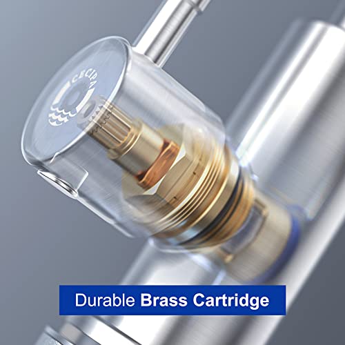 CECIPA Kaltwasserhahn Küche, Wasserhahn Küche nur Kaltwasser mit Muttern aus Edelstahl 304 Plattendicke bis zu 4cm, Wasserhahn Kaltwasser mit 60cm AnschlussschlauchX1, Küchenarmatur für Küche&Garten