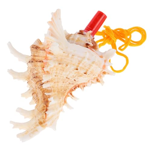 NOLITOY VR̊CقL r[`RNz[ qpzCbX RNy ^Lk pLk sCxgł̉t  FNAŎg₷ j ȃfUC