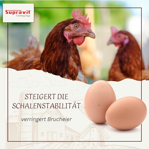 Futterkalk Supravit Geflügelgrit 4 kg – Muschelkalk für Hühner