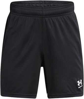 Under Armour Boys Challenger Shorts