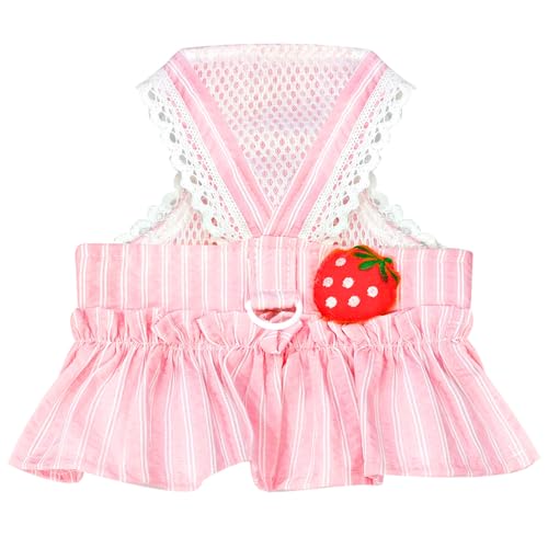 XGDMEIL Cute Strawberry Small Dog Dress with D-Ring Princess Lace Girl Female Dog Clothes Spring Summer Breathable Mesh Pet Puppy Cats Harness Dress for Shih Tzu Yorkies Chihuahua Maltese(Pink,Small)
