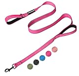 HIHANHAN Reflective Dog Leash with Double Handle, Dog Leash 6 FT Long, Supports Medium and Large Dogs, Heavy Duty for Walking, Running, and Training, Rose Red
