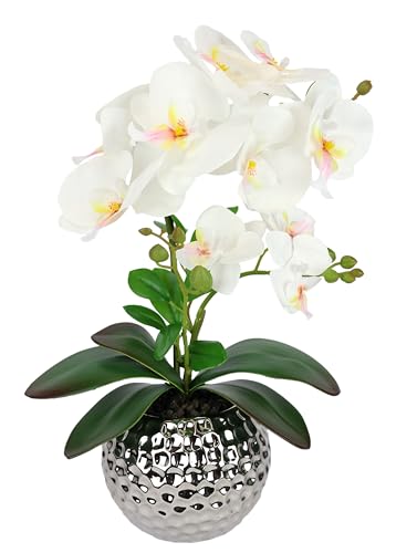Kunstblume Schmetterling Orchidee 40cm mit Blätter im Übertopf Künstliche Blume Kunstorchidee künstliche Phalaenopsis wie echt Orchideenzweig Kunstpflanze Pflanze Hochzeit Deko Seidenblume, creme