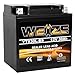 Weize YTX30L-BS Battery Replacement Yuasa YIX30L Motorcycle Battery - Factory Sealed - Maintenance Free - High Performance ETX30L BS For Harley Davidson Polaris Sportsman