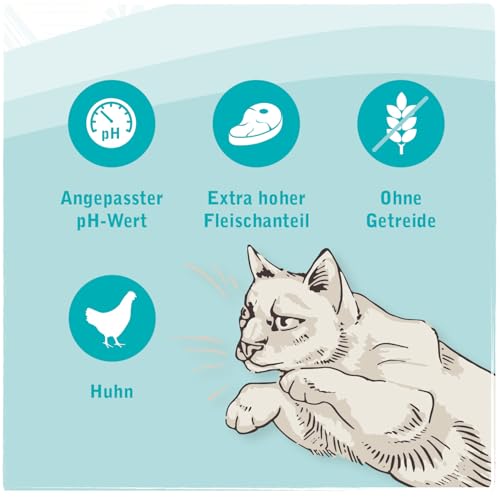 Venandi Animal Vet - Premium Trockenfutter für Katzen - Diät - Urinary - Struvitsteine - Huhn, 1er Pack (1 x 0,3kg), getreidefrei