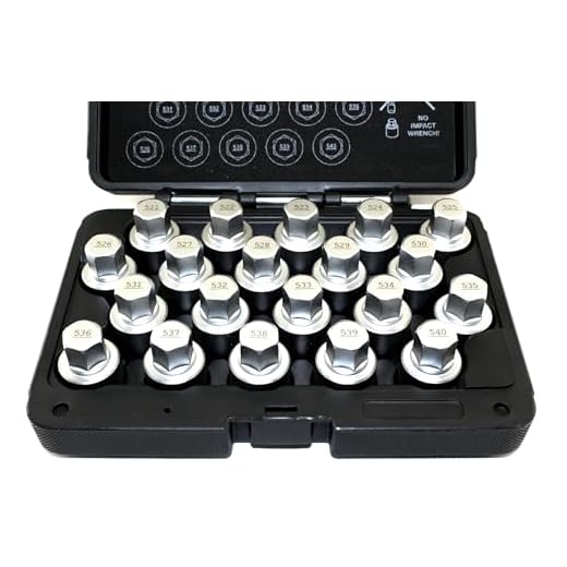 TEMO 20 pc Wheel Lock Lugnut Anti-Theft Screw Lug Nut Removal Key Socket Set for Vw Audi Vag Volkswagen