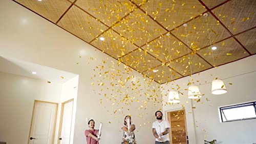 16" GOLD Confetti Poppers [6 Pack] BIODEGRADABLE GOLD Confetti Cannon, Rose Gold Compressed Air Party Poppers, Loud Pop, For Wedding Send Off, Wedding Supplies, Decorations by JAPJA - Image 6