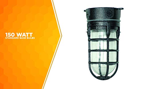 Woods L1706BLK Vandal Resistant 150W Incandescent Security Light, Ceiling Mount, Hammered Black