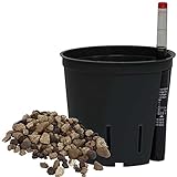 Set´s für Erdpflanzen