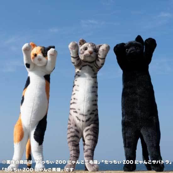 新品❤️飼ってください　おねがいにゃんこ　猫　ぬいぐるみ　ハチワレ　レトロ　希少 Amazon.co.jp: たっちぃZoo にゃんこ ハチワレ 猫のぬいぐるみ : おもちゃ