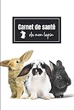 lapin geant papillon francais bleu a vendre  Carnet de santé de mon lapin: Visites chez le vétérinaires - Cahier de suivi médical à remplir - 120 pages