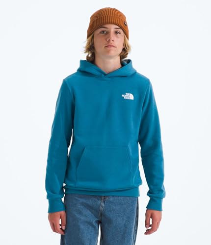 THE NORTH FACE Kids' Evolution Box Logo NSE Pullover Hoodie