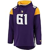 Fanatics NFL Minnesota Vikings Hoody Iconic Franchise Overhead Hooded Sweater (M)