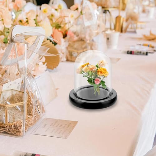 ZOFUN Glasglocke mit Holzboden 10cm, Glaskuppel mit Holzboden, Glaskuppel Deko Transparent Glasglocke Deko für Puppen, Kerzen, Sammlerstücke,Tafelschmuck und Antiquitäten