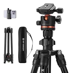 K&F Concept 70 inch/178cm Camera Tripod, Lightweight Travel Tripods for Camera with 360 Degree Ball Head Load Capacity 8kg/17.6lbs, Cellphone Clip for Smartphone Live Streaming Vlog K234A3+BH-36
