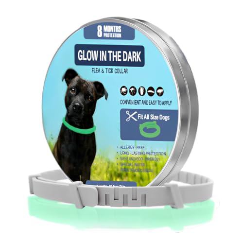 NHQZ 1 PCS Collari per cani, Collare antizecche per cani e gatti, Collare di prevenzione luminoso contro i parassiti, collare fluorescente, universalmente regolabile a qualsiasi taglia