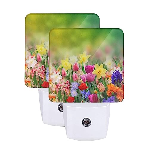 Lámparas de noche LED con sensor automático 2 piezas