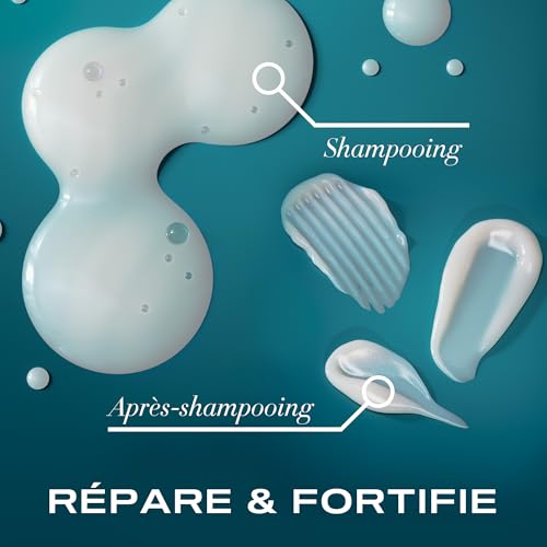 OGX Shampooing Réparateur Huile d'Argan du Maroc, flacon de 385 ml – vue 6
